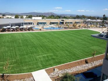 Artificial Grass Photos: Outdoor Carpet Chatsworth, California Sports Athority, Commercial Landscape