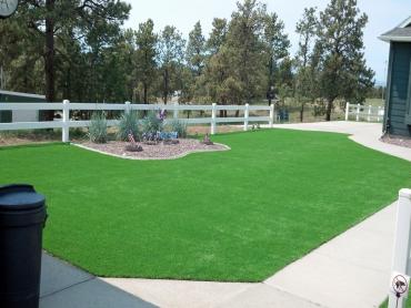 Artificial Grass Photos: Outdoor Carpet Green Acres, California Lawns, Small Front Yard Landscaping