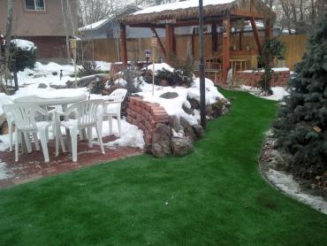 Artificial Grass Photos: Outdoor Carpet Home Gardens, California Backyard Playground, Backyard Designs