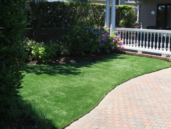 Artificial Grass Photos: Outdoor Carpet Indio Hills, California Cat Playground, Front Yard Landscaping