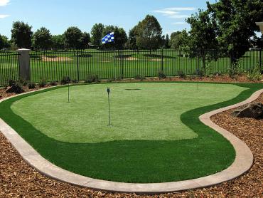 Artificial Grass Photos: Outdoor Carpet Lakeland Village, California Landscape Photos, Small Backyard Ideas