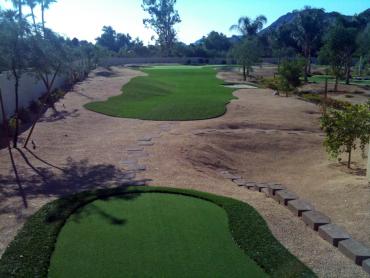 Artificial Grass Photos: Outdoor Carpet Manhattan Beach, California City Landscape, Beautiful Backyards