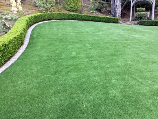 Artificial Grass Photos: Outdoor Carpet Marina del Rey, California Garden Ideas, Backyards