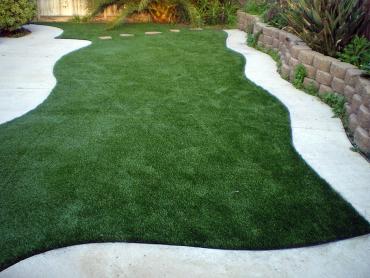 Artificial Grass Photos: Outdoor Carpet Mayflower Village, California Garden Ideas, Backyard Garden Ideas