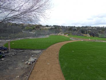 Artificial Grass Photos: Outdoor Carpet Needles, California Bocce Ball Court