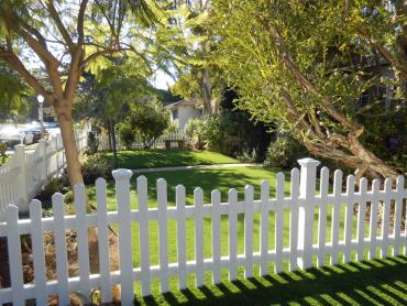 Artificial Grass Photos: Outdoor Carpet Pomona, California Lawn And Garden, Front Yard Landscaping