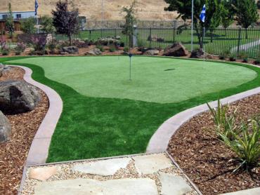 Artificial Grass Photos: Outdoor Carpet San Dimas, California Outdoor Putting Green, Backyard Landscaping Ideas