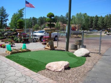 Artificial Grass Photos: Outdoor Carpet San Fernando, California Design Ideas, Commercial Landscape