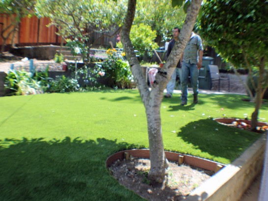 Artificial Grass Photos: Outdoor Carpet Sherman Oaks, California City Landscape, Backyard Makeover