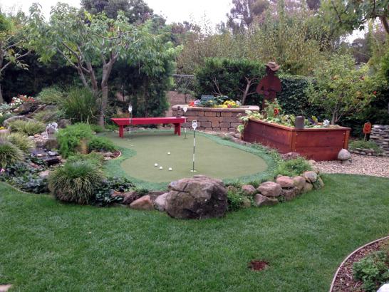 Artificial Grass Photos: Outdoor Carpet Topanga, California Artificial Putting Greens, Backyard Landscape Ideas