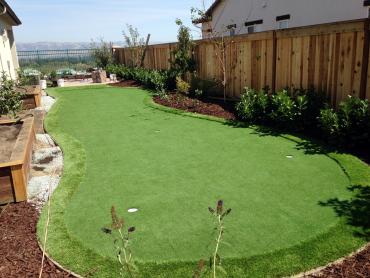 Artificial Grass Photos: Plastic Grass Azusa, California City Landscape, Backyard Landscaping