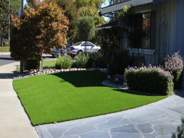 Artificial Grass Photos: Plastic Grass Bell, California Landscape Ideas, Front Yard Landscaping Ideas