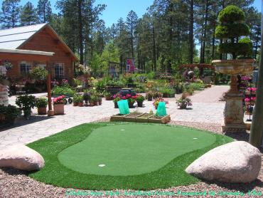 Artificial Grass Photos: Plastic Grass Colton, California Rooftop, Backyard Design