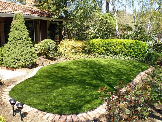 Artificial Grass Photos: Plastic Grass Desert Hot Springs, California Roof Top, Backyard Design