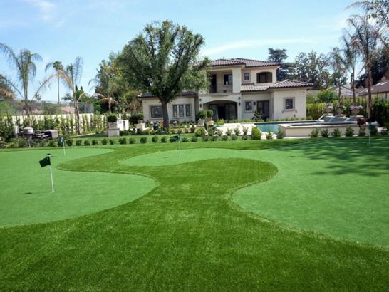 Artificial Grass Photos: Plastic Grass La Verne, California Putting Green Carpet, Front Yard Design