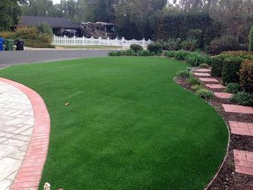 Artificial Grass Photos: Plastic Grass Lake Hughes, California Landscaping, Front Yard Landscaping