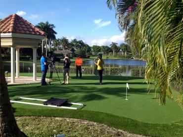 Plastic Grass Oak Glen, California Putting Green Turf, Backyard Makeover artificial grass