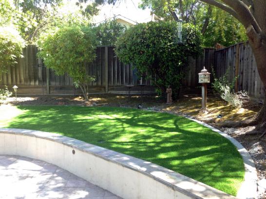 Artificial Grass Photos: Plastic Grass San Fernando, California Backyard Playground, Commercial Landscape