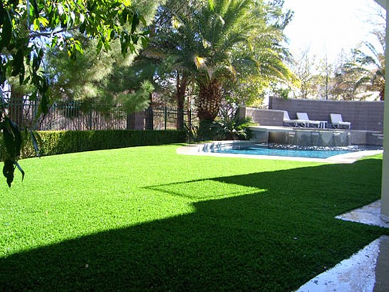 Artificial Grass Photos: Plastic Grass Vista Santa Rosa, California Landscape Ideas, Backyard Landscaping