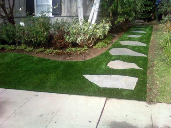 Artificial Grass Photos: Synthetic Grass Baker, California Landscape Photos, Front Yard Ideas
