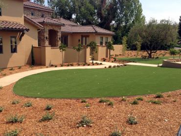 Artificial Grass Photos: Synthetic Grass Belvedere, California Design Ideas, Front Yard Ideas