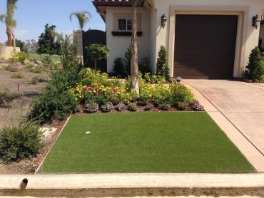 Artificial Grass Photos: Synthetic Grass Calimesa, California Design Ideas, Front Yard Ideas