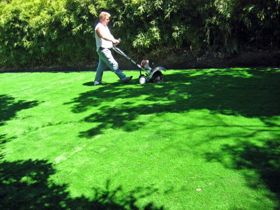 Artificial Grass Photos: Synthetic Grass Century City, California Landscape Rock, Backyard Makeover