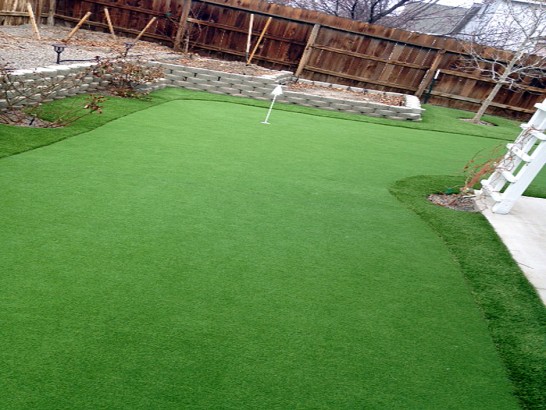 Artificial Grass Photos: Synthetic Grass Cost Alpine Village, California Garden Ideas, Backyard