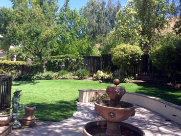 Artificial Grass Photos: Synthetic Grass Cost Azusa, California Landscaping Business, Backyard Design