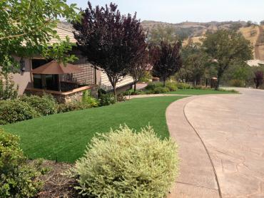 Artificial Grass Photos: Synthetic Grass Cost Barstow, California Rooftop, Front Yard Landscaping Ideas