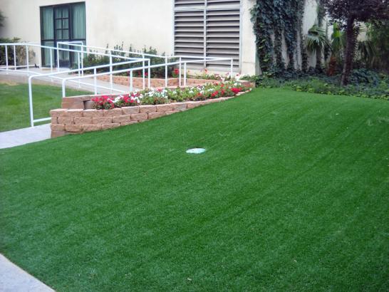 Artificial Grass Photos: Synthetic Grass Cost Chino Hills, California Office Putting Green, Front Yard