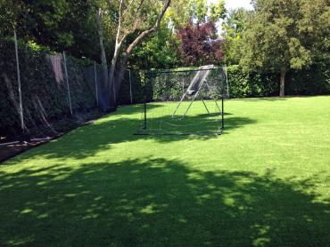 Artificial Grass Photos: Synthetic Grass Cost March Air Force Base, California City Landscape, Backyard Landscaping Ideas