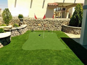 Artificial Grass Photos: Synthetic Grass Cost Mead Valley, California Putting Green, Backyard Garden Ideas