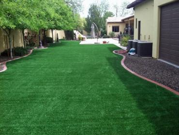 Artificial Grass Photos: Synthetic Grass Cost Montclair, California Roof Top, Backyard Makeover