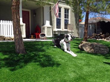 Artificial Grass Photos: Synthetic Grass Cost Oasis, California Backyard Deck Ideas, Dogs Park