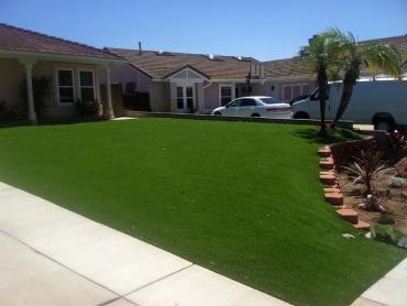 Artificial Grass Photos: Synthetic Grass Cost Palm Desert, California Garden Ideas, Front Yard Landscape Ideas