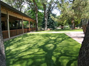 Artificial Grass Photos: Synthetic Grass Cost Westlake Village, California Artificial Grass For Dogs, Small Backyard Ideas