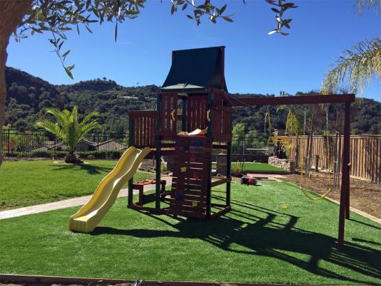 Artificial Grass Photos: Synthetic Grass Hawaiian Gardens, California Lawns