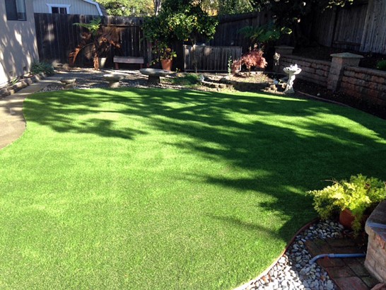 Artificial Grass Photos: Synthetic Grass Hawthorne, California Cat Grass, Small Backyard Ideas