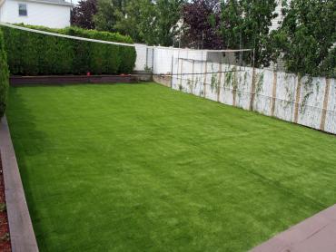 Artificial Grass Photos: Synthetic Grass Hermosa Beach, California Landscape Photos, Beautiful Backyards