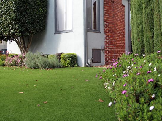 Artificial Grass Photos: Synthetic Grass Las Flores, California Paver Patio, Front Yard Landscape Ideas