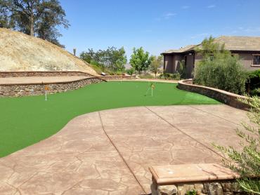 Artificial Grass Photos: Synthetic Grass Long Beach, California Putting Green Flags, Backyard Landscaping Ideas