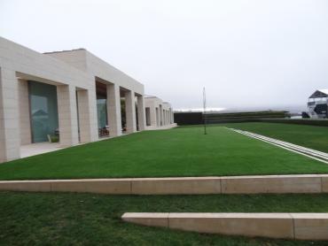 Artificial Grass Photos: Synthetic Grass March Air Force Base, California Design Ideas, Commercial Landscape