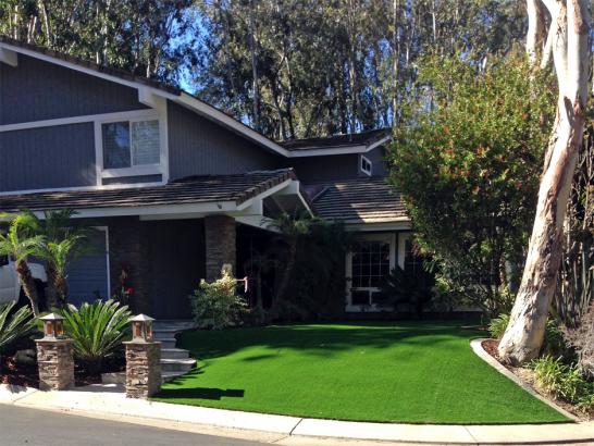 Artificial Grass Photos: Synthetic Grass Pico Rivera, California Home And Garden, Landscaping Ideas For Front Yard