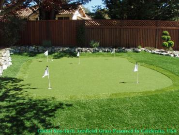 Synthetic Grass Redlands, California Home And Garden, Small Backyard Ideas artificial grass