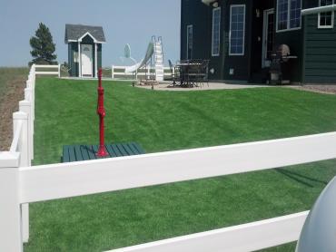 Artificial Grass Photos: Synthetic Grass Riverside, California Garden Ideas, Front Yard Landscape Ideas