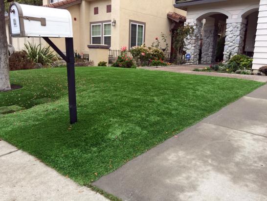 Artificial Grass Photos: Synthetic Grass Rowland Heights, California Landscaping, Front Yard Design