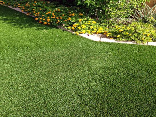 Artificial Grass Photos: Synthetic Grass Searles Valley, California City Landscape, Front Yard Ideas