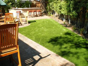 Artificial Grass Photos: Synthetic Grass Temecula, California Dog Pound, Backyard Makeover