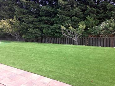 Artificial Grass Photos: Synthetic Grass Thousand Palms, California City Landscape, Backyard Landscape Ideas